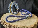 Ensemble collier & laisse en paracorde - Édition Bleu Saphir & Moutarde.webp