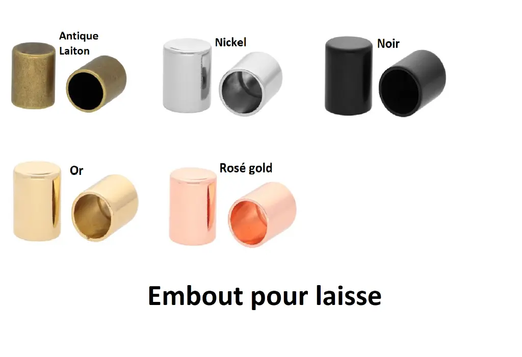 embout pour laisse.webp