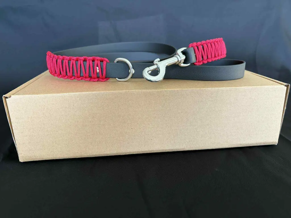 204fdb46-5559-49a4-9142-437b01eaff6b - Copie.webp