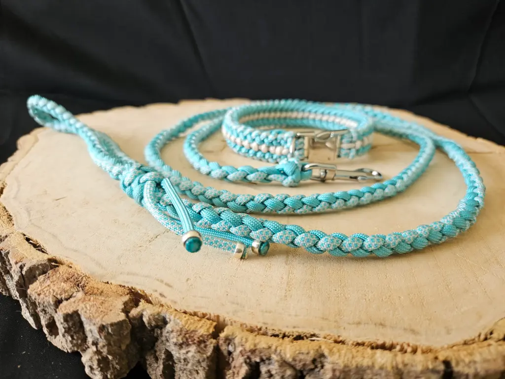 🐾 Ensemble collier & laisse " Pattes d'Azur " 