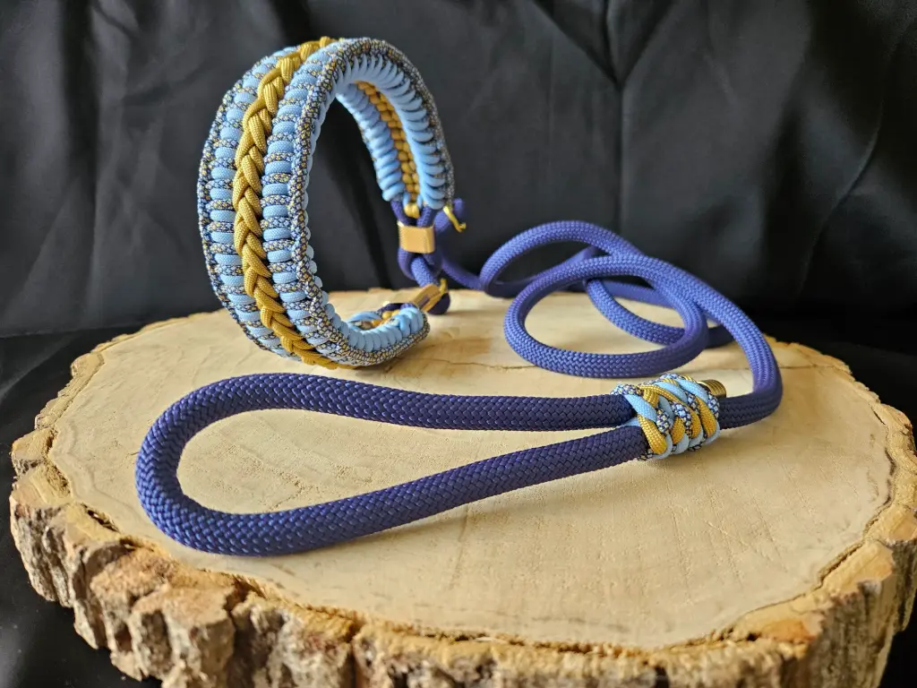 🐾Ensemble collier & laisse en paracorde - Édition Bleu Saphir & Gold (Tour de cou de 35 cm à 49 cm, 120 cm)