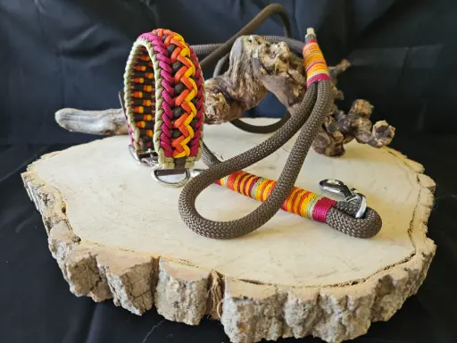 🐾Ensemble collier & laisse en paracorde – Modèle Indiana