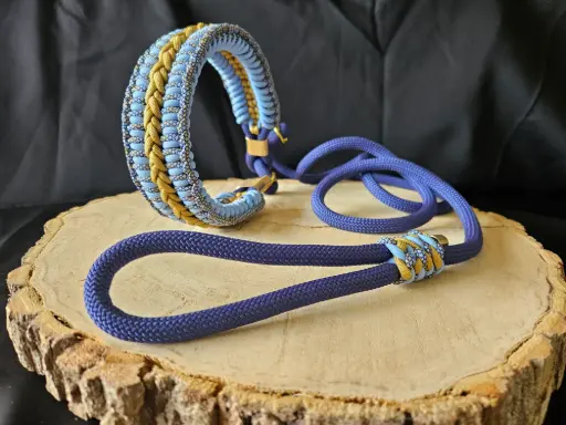 🐾Ensemble collier & laisse en paracorde - Édition Bleu Saphir & Gold